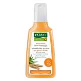 Abbildung: Rausch Weizenkeim Nähr-Shampoo Shampoo, 200 ml PZN 17938466