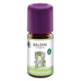 Produktbild Baldini Fr&uuml;hlingszauber Duftkomposition