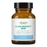 Produktbild B-Life Protect mini Kapseln