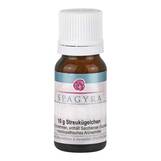 Produktbild Carbo vegetabilis D 6 Globuli