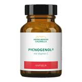 Produktbild Pycnogenol Kapseln