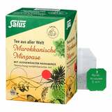 Produktbild Marokkanische Minzoase Bio Salus Filterbeutel