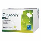 Abbildung: Gingonin 120 mg Hartkapseln Hartkapseln, 60 St PZN 19391210