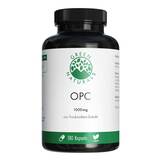 Produktbild Green Naturals OPC 1000mg aus Traubenkern-Extr.Kps