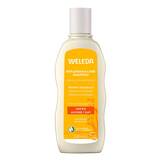 Abbildung: Weleda Replenish & Care Shampoo Hafer Shampoo, 190 ml PZN 19630821