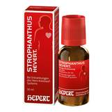 Abbildung: Strophanthus Hevert Tropfen Tropfen, 30 ml PZN 19725332