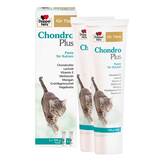 Produktbild Doppelherz f&uuml;r Tiere Chondro Plus Paste f&uuml;r Katzen