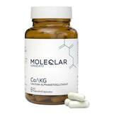 Abbildung: Moleqlar Caakg Calcium-Alphaketoglutarate Kapseln Kapseln, 60 St PZN 19790921