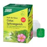Abbildung: Cistus Spitzwegerich Tee Bio Filterbeutel Filterbeutel, 15 St PZN 19861986