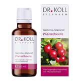 Produktbild Gemmomazerat Preiselbeere Dr. Koll Vitis Idaea Tro.