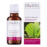 Produktbild Gemmo-Mazerat Schwarzerle Dr. Koll Alnus glutinosa Tropfen