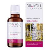 Produktbild Gemmo-Mazerat Silberbirke Dr. Koll Betula alba Tropfen
