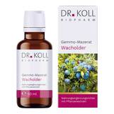 Produktbild Gemmo-Mazerat Wacholder Dr. Koll Juniperus communis Tropfen