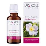 Produktbild Gemmo-Mazerat Heckenrose Dr. Koll Rosa canina Tropfen
