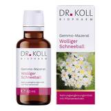 Produktbild Gemmo-Mazerat wolliger Schneeball Dr. Koll Viburnum lantana Tropfen