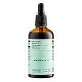 Produktbild Passionsblume Extrakt Kr&auml;uter Tropfen alkoholfrei