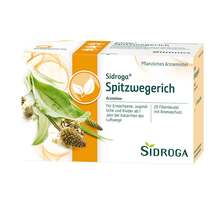 Sidroga Spitzwegerich Tee Filterbeutel Sidroga Spitzwegerich Tee Filterbeutel