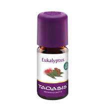 Eukalyptus Öl Bio Eukalyptus Öl Bio