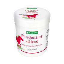 Pferdesalbe kühlend Pferdesalbe kühlend