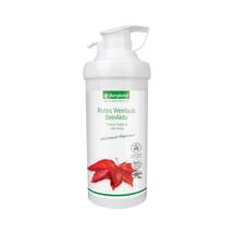Rotes Weinlaub Beinaktiv Rotes Weinlaub Beinaktiv