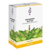 Pfefferminzblätter Tee Pfefferminzblätter Tee