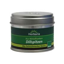 Dillspitzen kbA Dillspitzen kbA