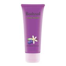 Bodysol Aroma Duschgel Brombeer Vanille Bodysol Aroma Duschgel Brombeer Vanille