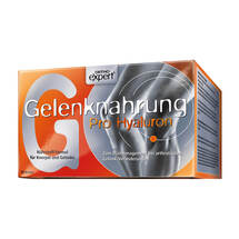 Gelenk Nahrung Pro Hyaluron Orthoexpert Pulver Gelenk Nahrung Pro Hyaluron Orthoexpert Pulver
