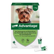 Advantage 40 für Hunde Lösung Advantage 40 für Hunde Lösung