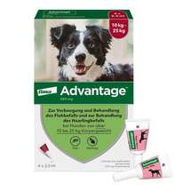Advantage 250 für Hunde Lösung Advantage 250 für Hunde Lösung