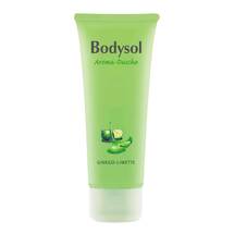 Bodysol Aroma Duschgel Ginkgo Limette Bodysol Aroma Duschgel Ginkgo Limette