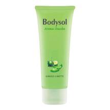 Bodysol Aroma Duschgel Ginkgo Limette Bodysol Aroma Duschgel Ginkgo Limette