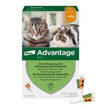 Advantage 40 mg für kleine Katzen und kleine Zierkaninchen Advantage 40 mg für kleine Katzen und kleine Zierkaninchen