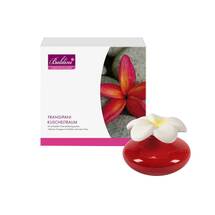 Baldini Frangipani Kuscheltraum Duftset rot mit Duftstein, Vase + Öl Baldini Frangipani Kuscheltraum Duftset rot mit Duftstein, Vase + Öl