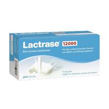 Lactrase 12.000 FCC Kapseln Lactrase 12.000 FCC Kapseln