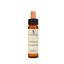 Bachblüten Centaury Healing Herbs Tropfen Bachblüten Centaury Healing Herbs Tropfen