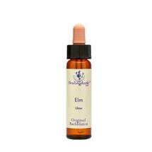 Bachblüten Elm Healing Herbs Tropfen Bachblüten Elm Healing Herbs Tropfen