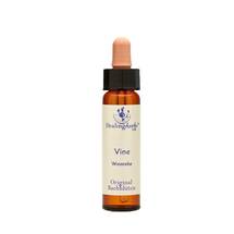 Bachblüten Vine Healing Herbs Tropfen Bachblüten Vine Healing Herbs Tropfen