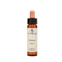 Bachblüten Walnut Healing Herbs Tropfen Bachblüten Walnut Healing Herbs Tropfen