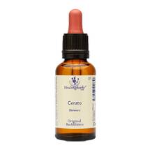 Bachblüten Cerato Healing Herbs Tropfen Bachblüten Cerato Healing Herbs Tropfen