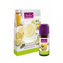 Heisse Taotasse Ingwer-Zitrone Set Heisse Taotasse Ingwer-Zitrone Set