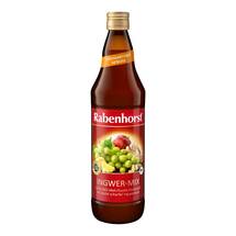 Rabenhorst Ingwer-Mix Bio Saft Rabenhorst Ingwer-Mix Bio Saft