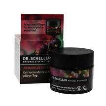 Dr. Scheller Johannisbeere & Marula Erfrischende Feuchtigkeitspflege Tag Dr. Scheller Johannisbeere & Marula Erfrischende Feuchtigkeitspflege Tag