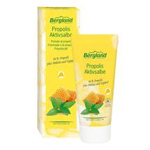 Propolis Aktivsalbe Propolis Aktivsalbe