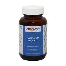 APONEO Lactase 4.000 FCC Kapseln APONEO Lactase 4.000 FCC Kapseln