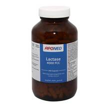 APONEO Lactase 4.000 FCC Kapseln APONEO Lactase 4.000 FCC Kapseln