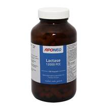 APONEO Lactase 12.000 FCC Kapseln APONEO Lactase 12.000 FCC Kapseln