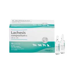 Abbildung: Lachesis Compositum N Ampullen vet. (für Tiere) 50 St, Ampullen PZN 00052830