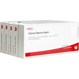 Abbildung: Calcium Quercus Inject Ampullen Ampullen, 50X1 ml PZN 00089879