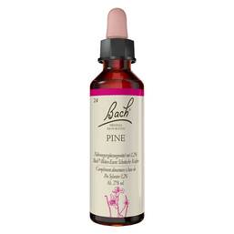 Abbildung: Bachblüten Nr. 24 Pine Tropfen Tropfen, 20 ml PZN 00125925